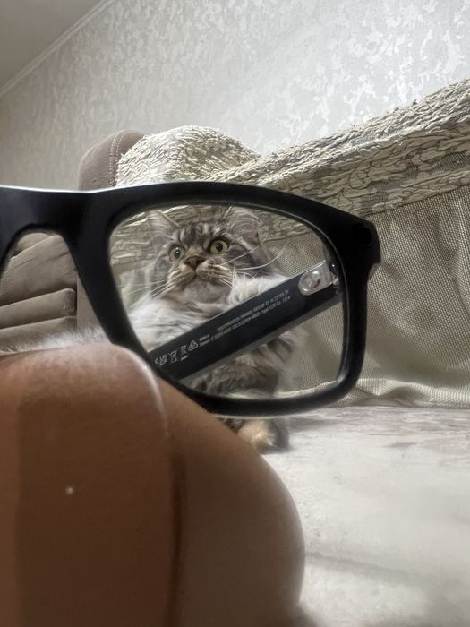 Продам очки ray-ban meta.