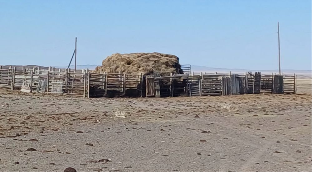 К/Х сатылады продаётся!