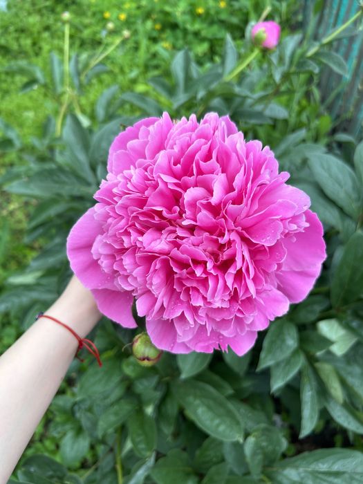 Уютный Частный дом