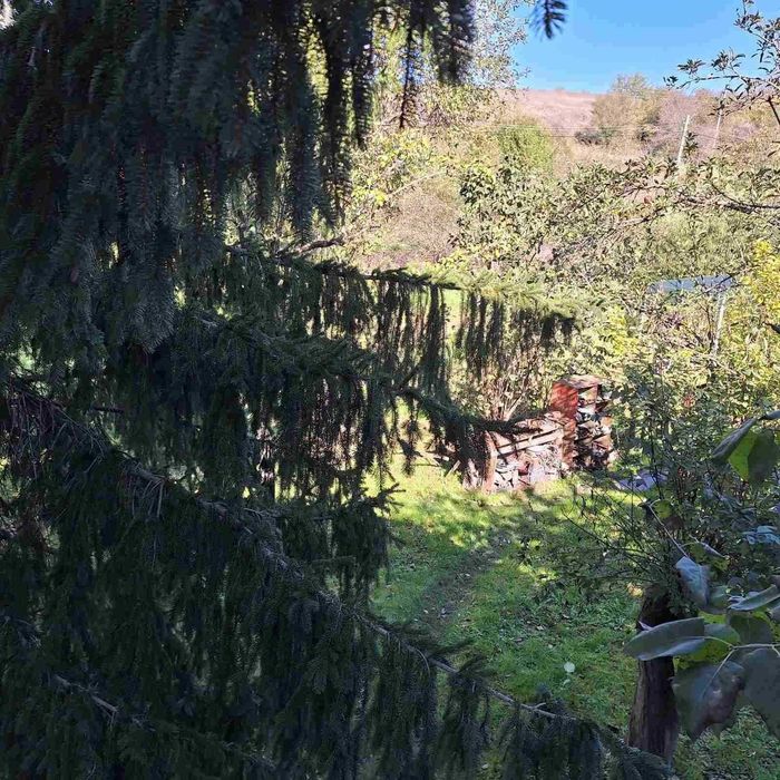 Продава се Парцел в с. Крумово, Област Варна - 1000 кв.м за 20 €/кв.м - Снимка #2