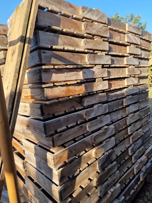 Sezlonguri + saltele 170 lei buc