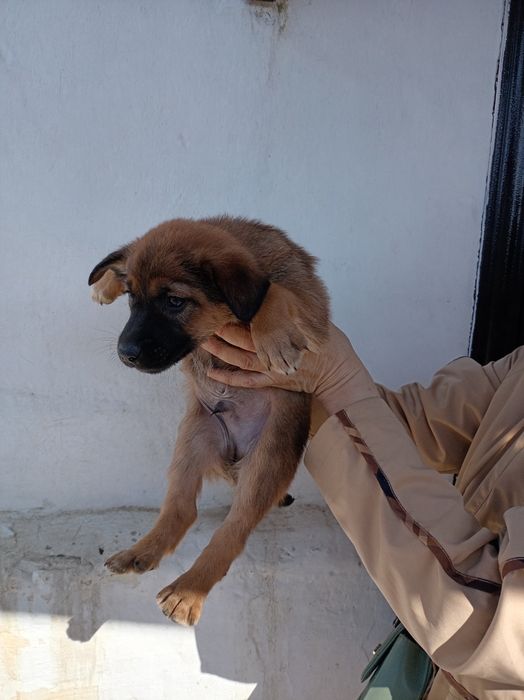 Бесплатно щинки девочки и мальчики