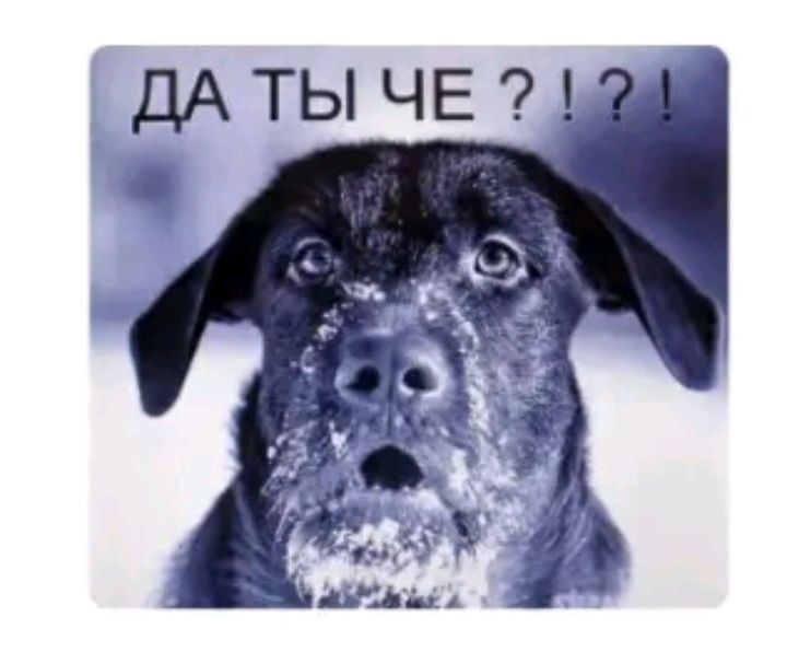 Вальер  Эконом +