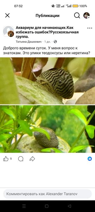 Аквариумные рыбки