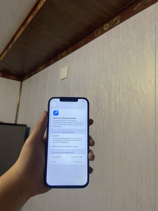 IPHONE 12 pro max 256