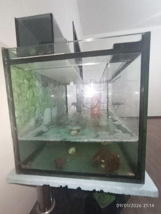 Akvarium 100 L holati ideal