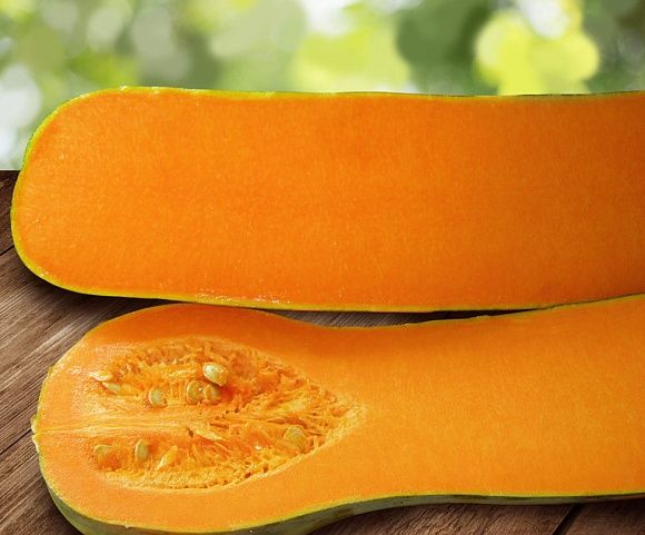 Placintar 'Lunga Piena di Napoli ' (+ 90 seminte)