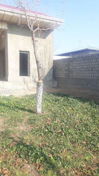 Деревья Один камаз