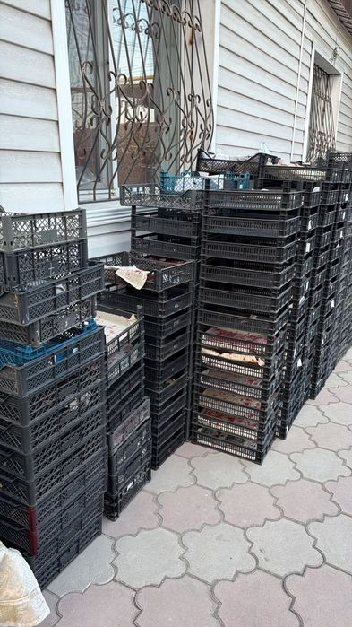 Фруктовые ящики пластиковые