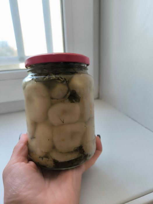 Продам вкусные солёные грузди