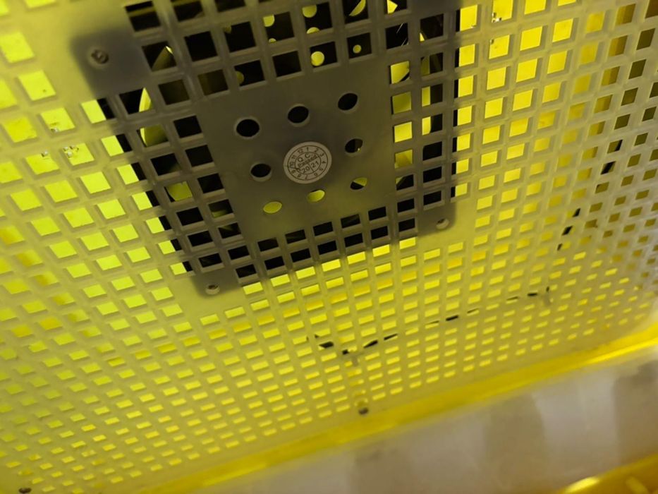 Инкубатор для яиц