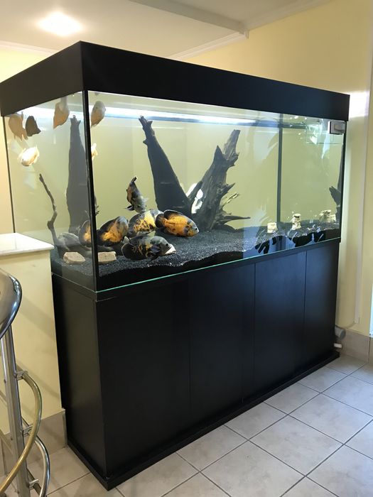 Изготовление аквариумов под ключ