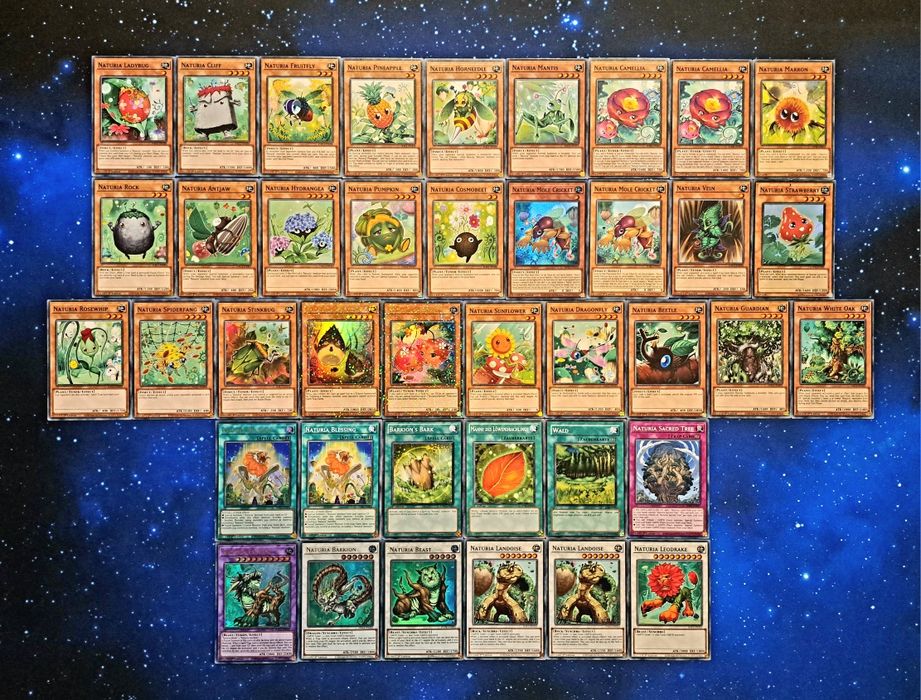 Yu-Gi-Oh Decks 2