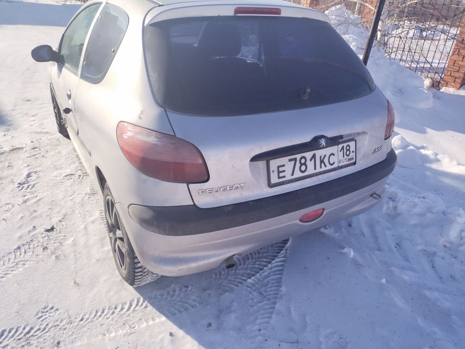 Продам шустрого айгырчика