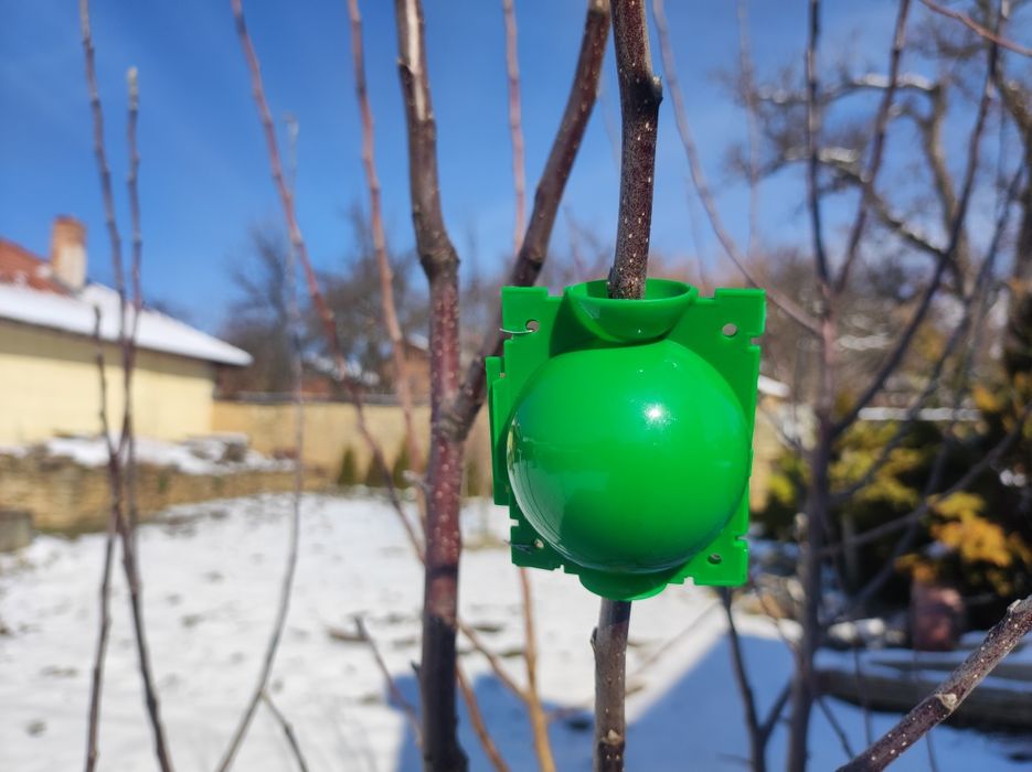 Кутия за развитие на корени