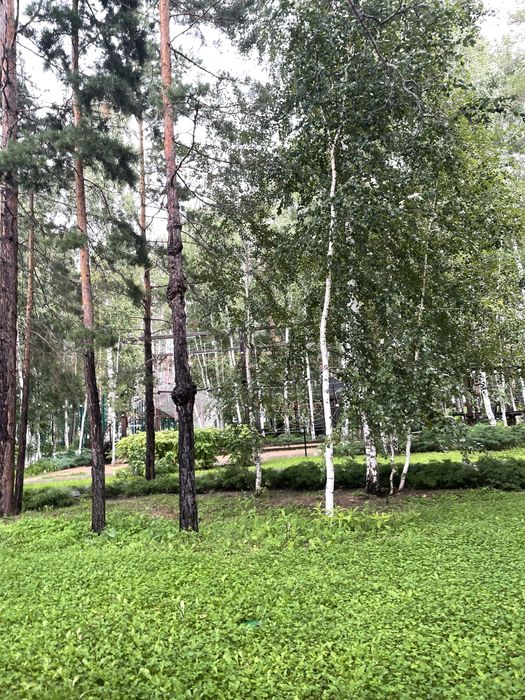 Рыба свежемороженная