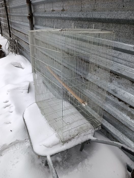 Клетка для птиц звоните