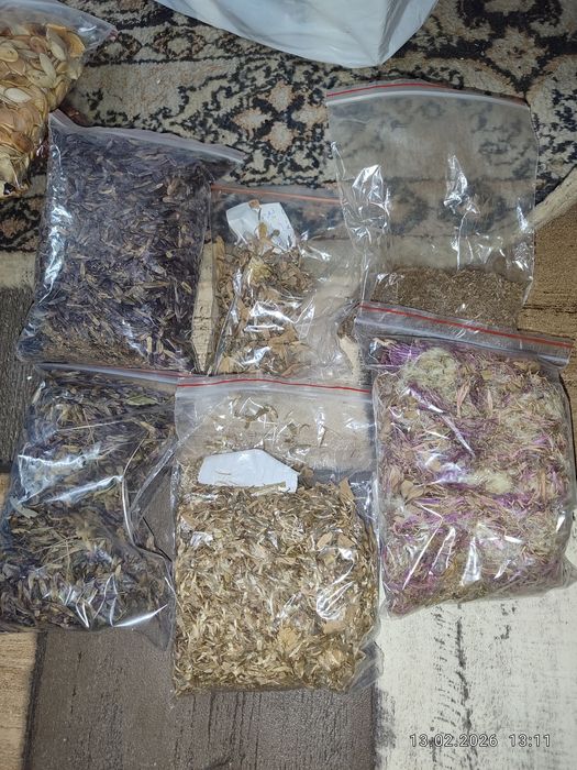 Продам семена разные