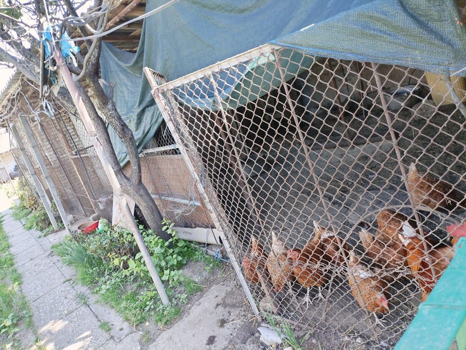 Casa+Atelier auto +Panouri solare (prosumator)