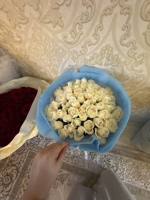 Свежие новые цветы