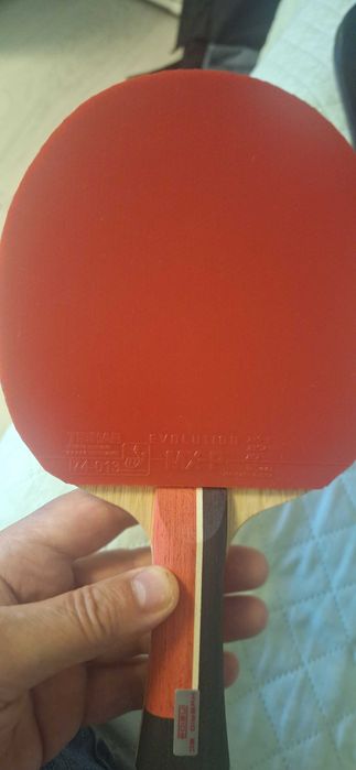 Paleta de ping pong