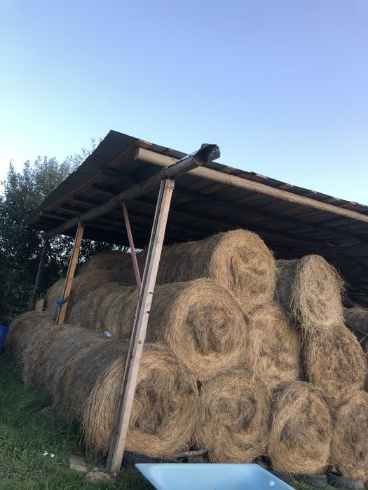 Vând baloti de fân