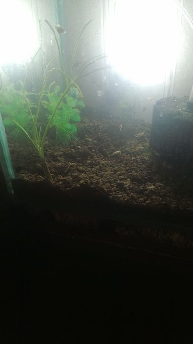 Аквариум 110литров полный комплект