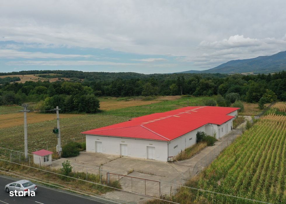 Ferma de ciuperci - Hala de productie / de depozitare - MONEASA - AR