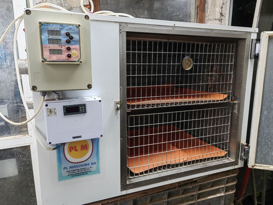 Incubator +eclozor OUA STRUT