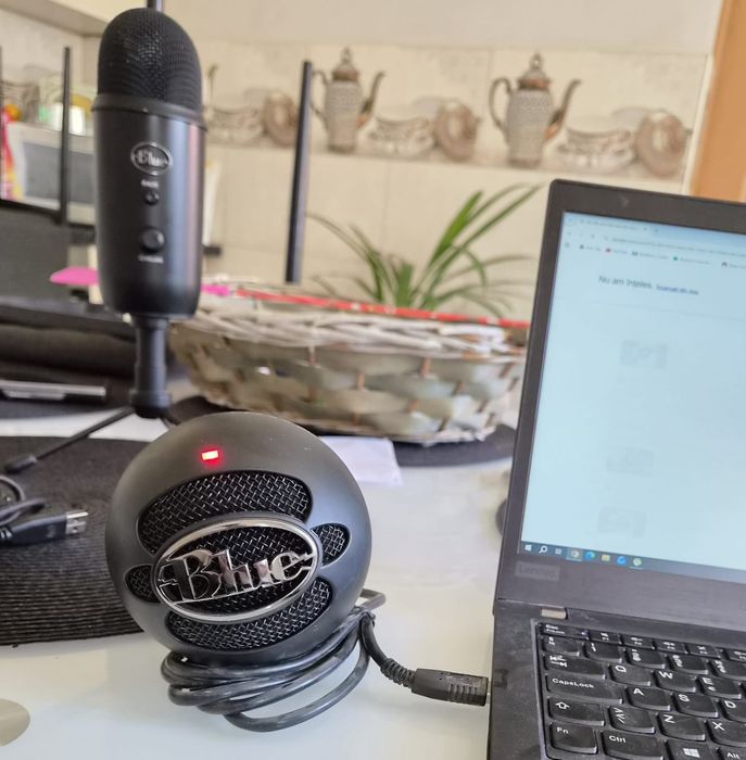 vand 2 x Microfon Usb Logitech Blue Yeti Professional si  Blue Snowball ICE