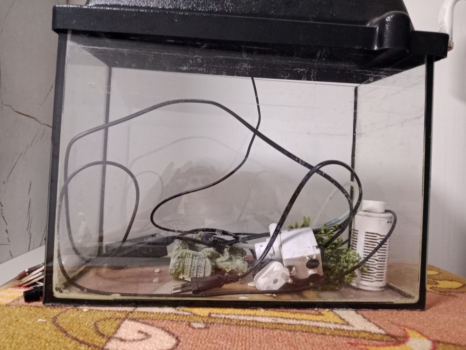 Аквариум продам срочно