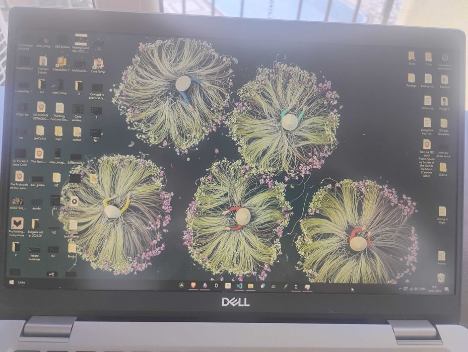 Dell Latitude 5350 Intel® i7 1365U (12" inch