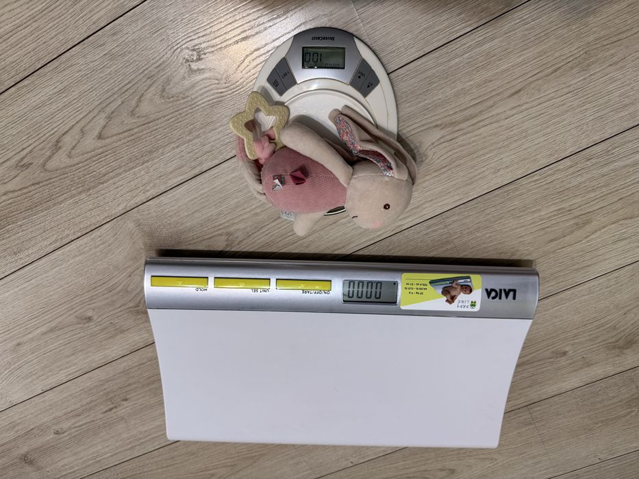 Cantar pentru bebelusi Laica