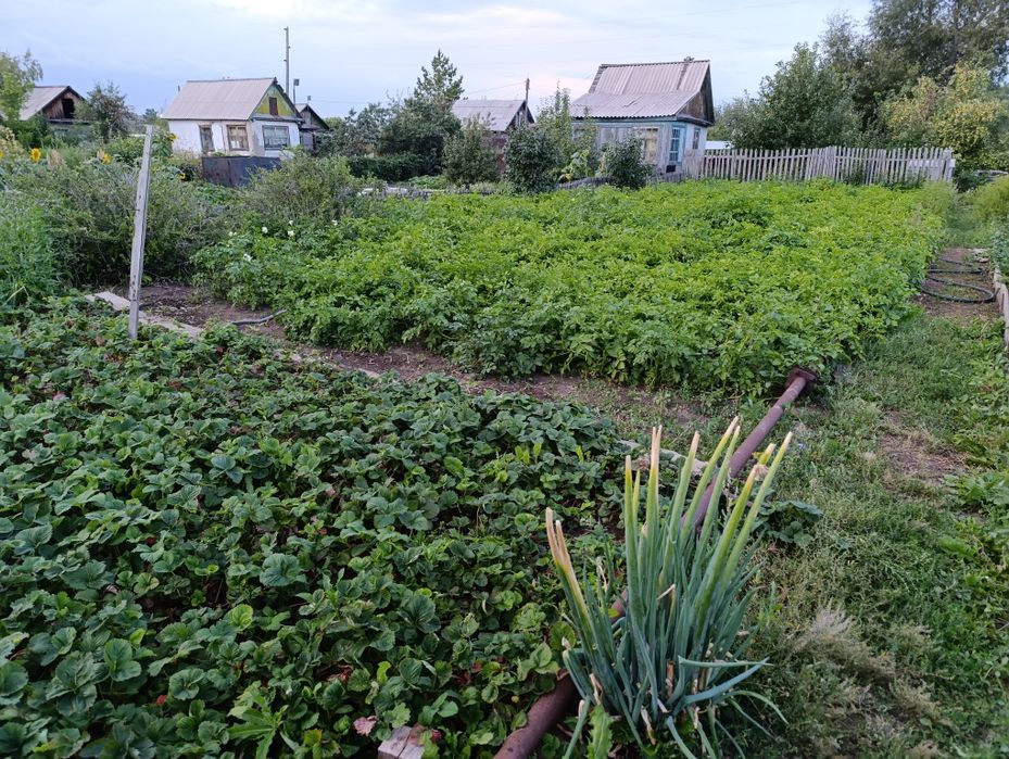 Продаётся дача на федоровке