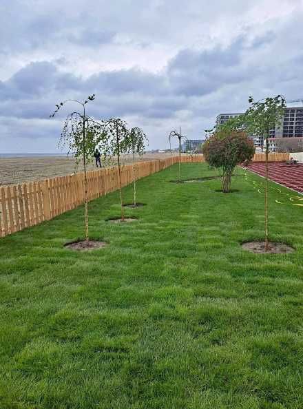 Gazon Rulou si sisteme de irigati