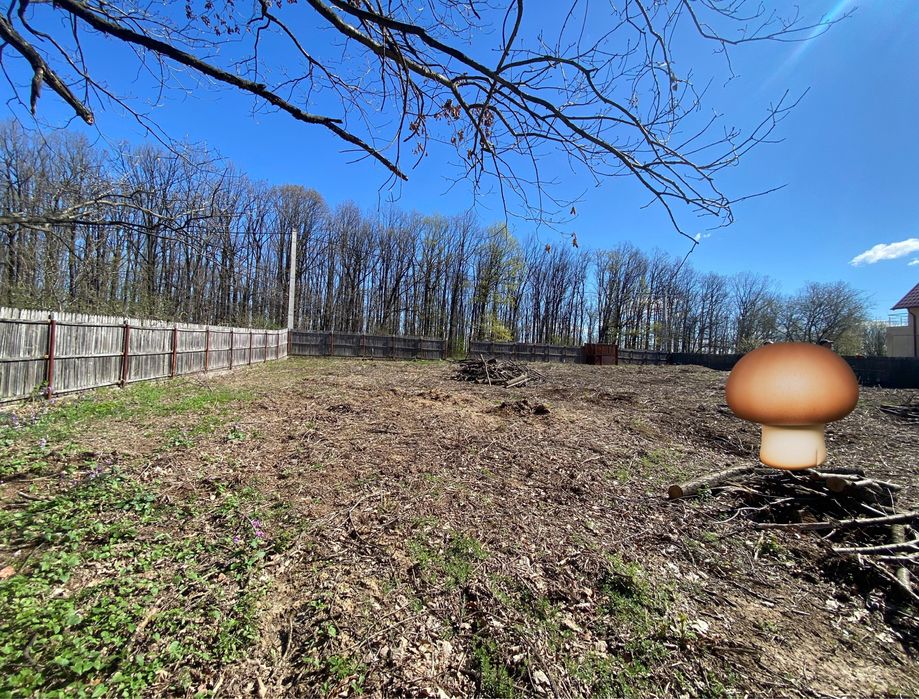 Teren de vis langa Pitesti