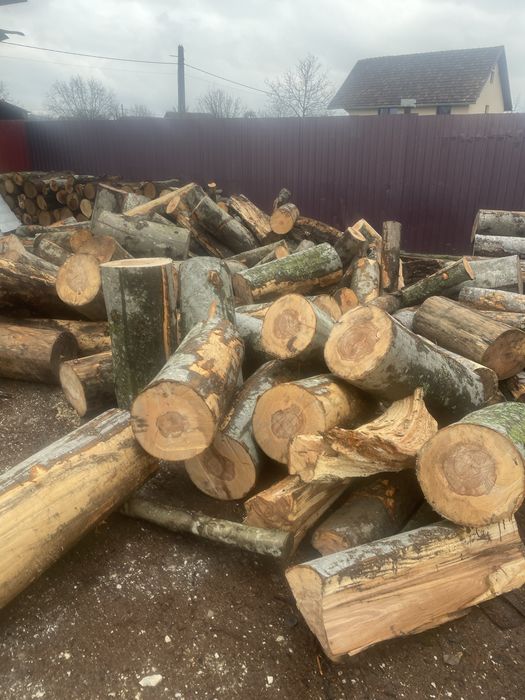 Vindem lemne de foc esențe tarii transportul gratuit