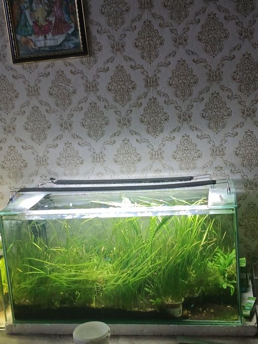 Аквариум большой в комплекте
