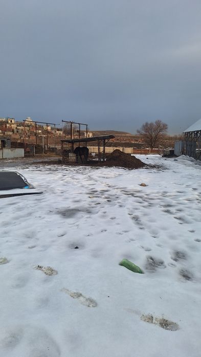 продам Крестиянское хозяйство