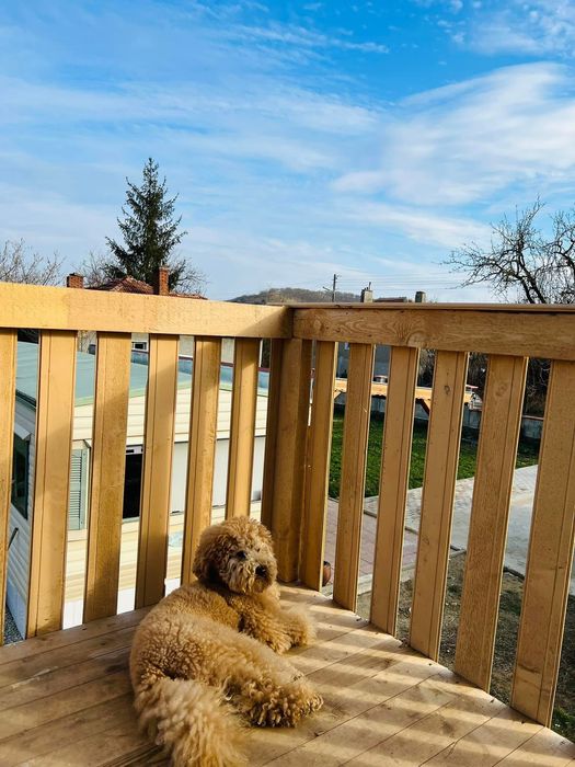 Продава се Къща в с. Цонево, Област Варна - 90 кв.м за 8000 €/кв.м - Снимка #11