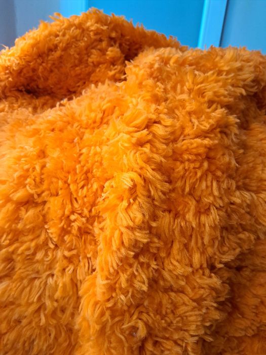 Китеник, губер дългокосмест