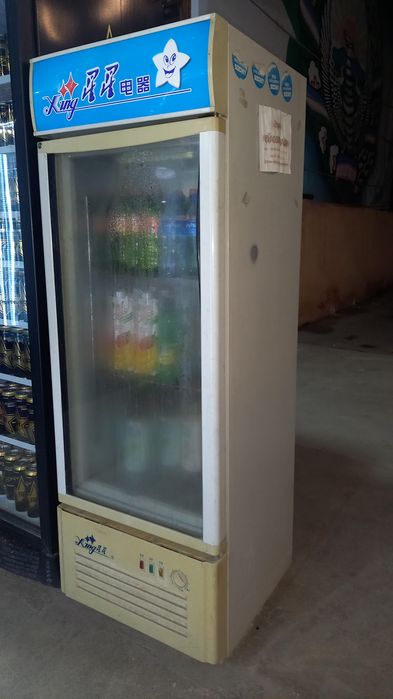 Холодильник хинг