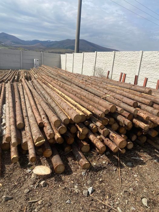 Vand Bile Manele rasinoase