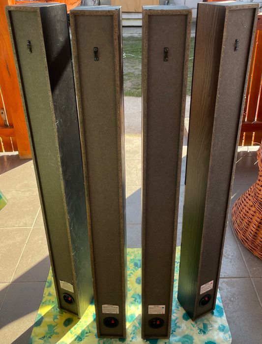 Boxe Pionner 60W
