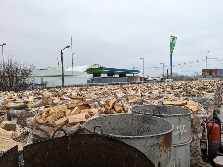 Lemne de foc la fag sau stejar USCAT