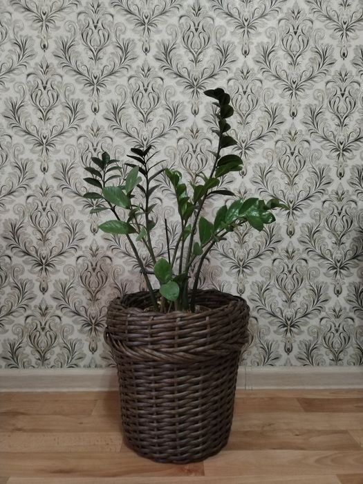 Кашпо из ротанга