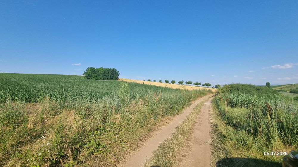 Teren extravilan Ciurbesti/Miroslava