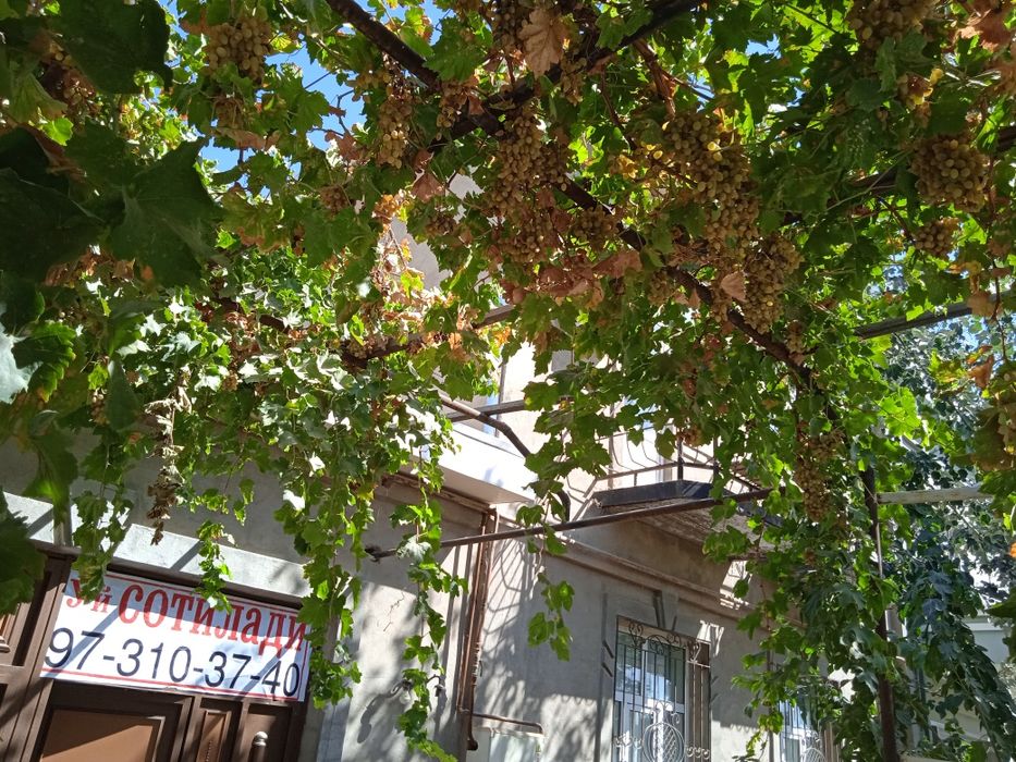 Карши шахарда 2 каватли ховли сотилади