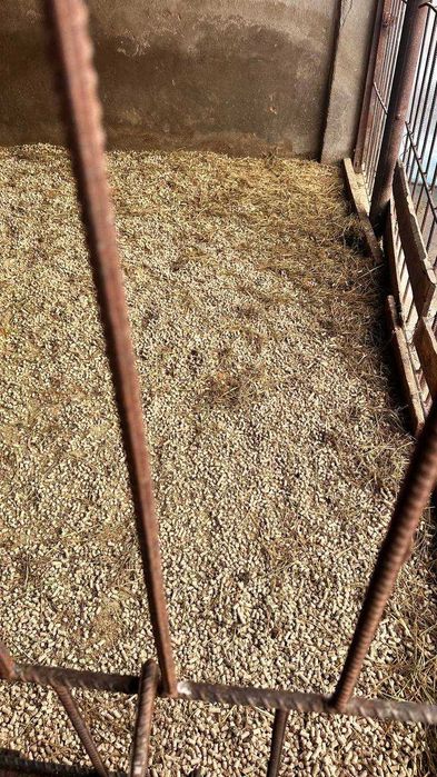 Подстилка для животных, хайвонлар учун таглик пеллет