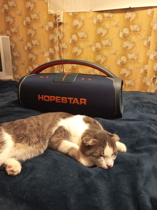 Музыкальная колонка Hopestar a65